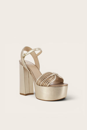 TOHAVRE CHAMPAGNE / ROSEBRONZE