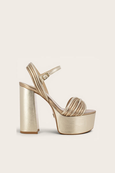 TOHAVRE CHAMPAGNE / ROSEBRONZE